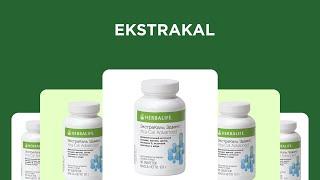 EkstraKal — Экстракаль