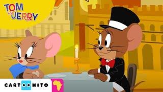 Tom and Jerry: Dinner Date Rival | Cartoonito Africa