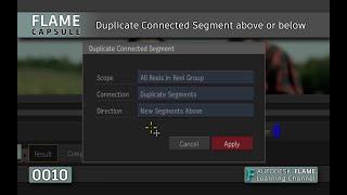 Flame Capsule 010 - Duplicate Connected Segment above or below - Flame 2021