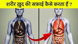 शरीर अपनी सफ़ाई ख़ुद कैसे करता हैं ? How body detox itself ?