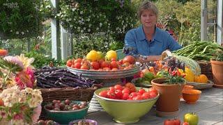 Sarah's favourite tomato varieties