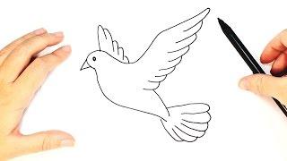 How to Draw a Dove for Kids | Dove Drawing Tutorial
