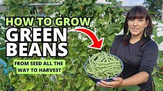Ultimate Guide to Growing Bush/Pole Green Beans From Seed to Harvest #beans #garden #gardeningtips