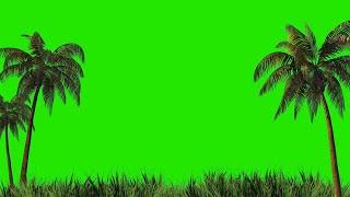 Palm trees and grass harvesting design green screen