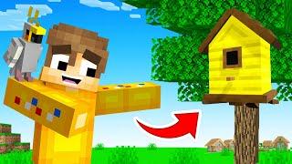 Building My PET PARROT A House In Minecraft! (Squid Island)