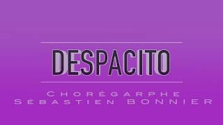 DESPACITO by Sébastien BONNIER