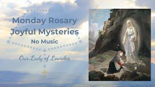 Monday Rosary - Joyful Mysteries - Our Lady of Lourdes - Divine Sky - No Music