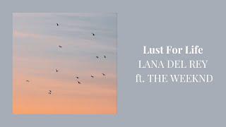 [1 Hour Loop] Lana Del Rey - Lust For Life (feat. The Weeknd)