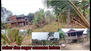 Semua senang suasana kebun kembali subur segar setelah hujan