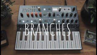 Arturia Microfreak: Branches // a calm ambient soundscape to relax/study to