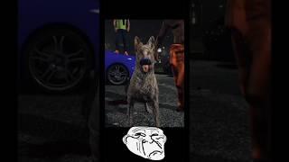 Günün son videosu #gta5 #pitbullvs #pitbullvspitbull #edit #pitbull #vs #memes  #phonk