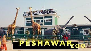 Peshawar Zoo 2020 | Peshawar Zoo Elephants | Peshawar Zoo Motion Ride  | Peshawar Zoo Snake House