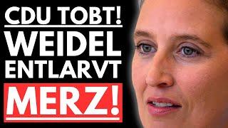 EILMELDUNG: NEUWAHLEN IN GEFAHR?! WEIDEL ENTLARVT MERZ GEHEIMNIS! CDU IN ABSOLUTER PANIK!