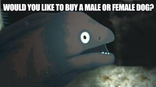 BITCH PLEASE - Bad Joke Eel