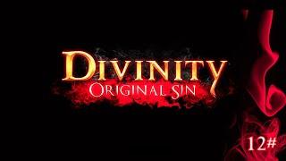 Divinity: Original Sin - Лес Лукуллы  12# (КооП)