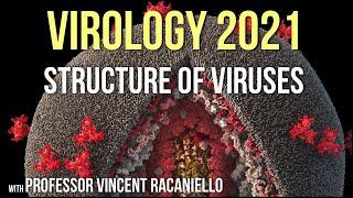 Virology Lectures 2021 #4 - Structure of Viruses