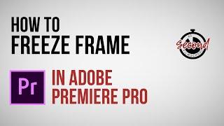 How to Freeze Frame in Premiere Pro CC