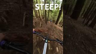 This trail starts out SPICY #downhillmtb #mtb #insta360 #mountainbiking