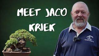 Bonsai Interview: Meeting Jaco Kriek – Insights from a Passionate Bonsai Artist