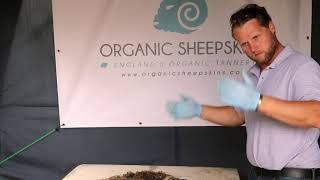 Organic Sheepskins How to Salt, prepare and Tan a sheepskin