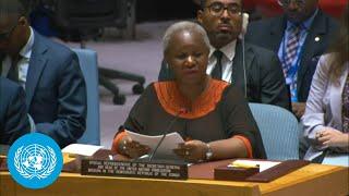 MONUSCO Chief on the Democratic Republic of the Congo Situation | UN Security Council Briefing