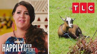 One Goat for One Emily | 90 Day Fiancé: Happily Ever After | TLC
