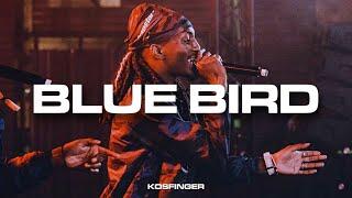 [FREE] Kay Flock x B Lovee x Anime Drill Sample Type Beat 2022 - "Blue Bird"