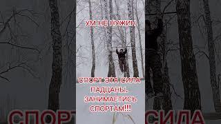 Всем мир ️ #мма #бокс #борьба #цитаты #мудрость