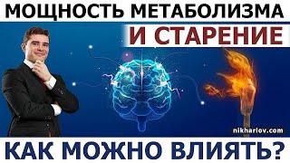 Что увеличивает производство энергии. Биоэнергетика. Основной обмен веществ. Базальный метаболизм.