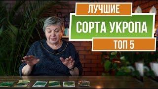 ТОП 5 Сортов Укропа ️ Выбираем семена укропа