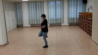 Footloose Lernvideo Teach & Dance Line Dance Biene Teil 1