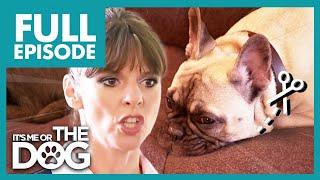 Owner Wants To Cut Her Noisy Dog's Vocal Chords | Full Episode | It's Me or The Dog