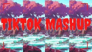 TikTok Mashup April 2022 (Not Clean)