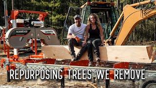 Milling Big Beautiful Timbers from Trees We Take Down | Norwood HD36 Portable Sawmill