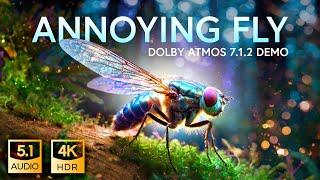 Dolby Atmos 7.1.2 Demo | Annoying fly | Free demo download!