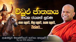 “විධුර ජාතකය“ මාරක ජයගත් නුවණ  | Venerable Welimada Saddaseela Thero #vidura_jathakaya