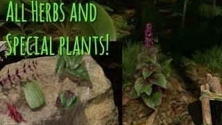 All Herbs & Special Plants + Their Uses | Green Hell