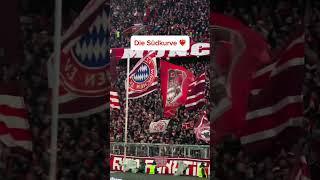 Fc bayern München ️ eine große Liebe