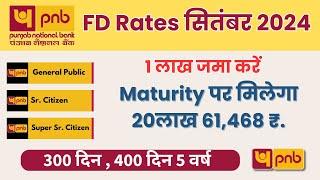 pnb bank fd interest rates 2024