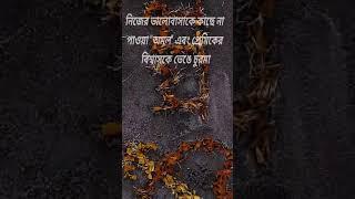 নিজের ভালোবাসাকে কাছে না পাওয়া "অমল"এবং কাবেরী'র গল্প বলতে আসছে"নি র্বা স ন"|শুভ মুক্তি ৮ই ডিসেম্বর