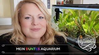 Mein buntes Aquarium  | Aquarinas Vorstellung