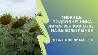 Гибриды подсолнечника Лимагрен как ответ на вызовы рынка. День поля "Лимагрен"