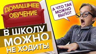 Домашнее обучение. В школу можно НЕ ХОДИТЬ! Обзор interneturok