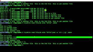 Removing Spaces from File Names with SED Linux Shell Script Tutorial