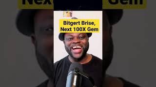 Bitgert Brise Price Prediction - The Next 100X CRYPTO  GEM