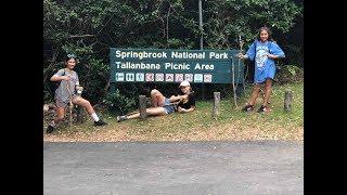 Springbrook Mountain Gold Coast Australia - THE TWIN FALLS 2019