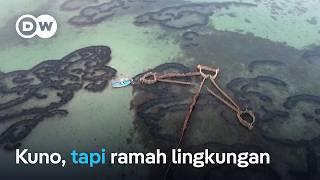 Cara menangkap ikan ramah lingkungan masuk warisan UNESCO: Charfia | DW Inovator