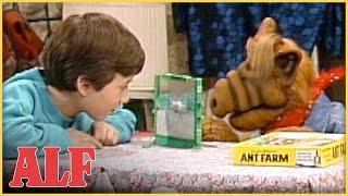 Should ALF Be Allowed to Have Pets? | S3 Ep21 Clip