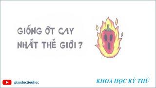 #Giaoductieuhoc – KHOA HỌC KÝ THÚ – GIỐNG ỚT CAY NHẤT THẾ GIỚI