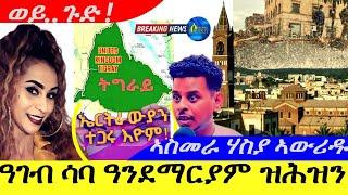 Nov 25,2024-ዓገብ ሳባ ዓንደማርያም ዝሕዝን | ኤርትራውያን ተጋሩ እዮም | ወይ-ጉድ | ኣስመራ ፎኪስ ሃስያ ኣውሪዱ